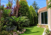 Chalet independiente con terreno en venta en la España, Rojales, ref: TR264131 foto