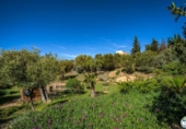 Xalet independent amb terreny en venda a la España, Palau-saverdera, ref.: TR266499 foto