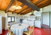 Casa de camp amb terreny en venda a la España, Argelaguer, ref.: TR325419 foto