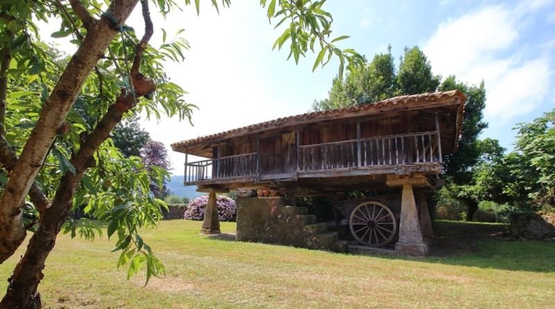 Asturias - Gijón - 8998m2