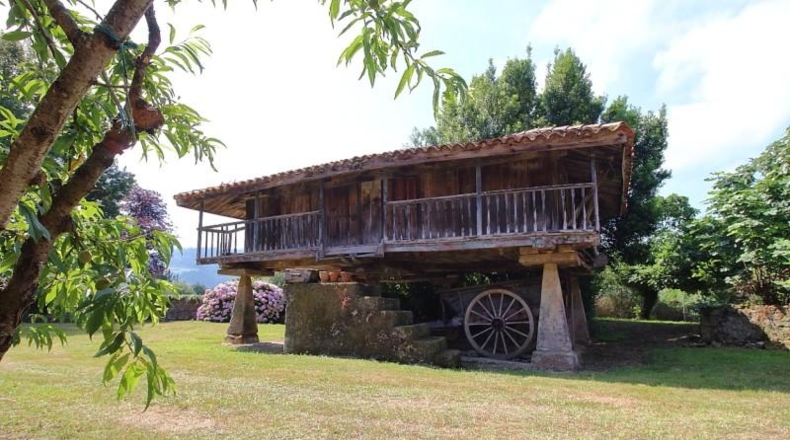 Asturias - Gijón - 8998m2