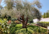 Xalet independent amb terreny en venda a la España, Dénia, ref.: TR398836 foto