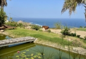 Casa de campo con terreno en venta en la España, Buenavista del Norte, ref: TR379133 foto