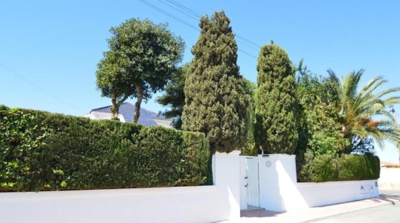 Alicante - Torrevieja - 800m2