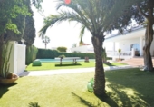 Chalet independiente con terreno en venta en la España, Torrevieja, ref: TR376232 foto
