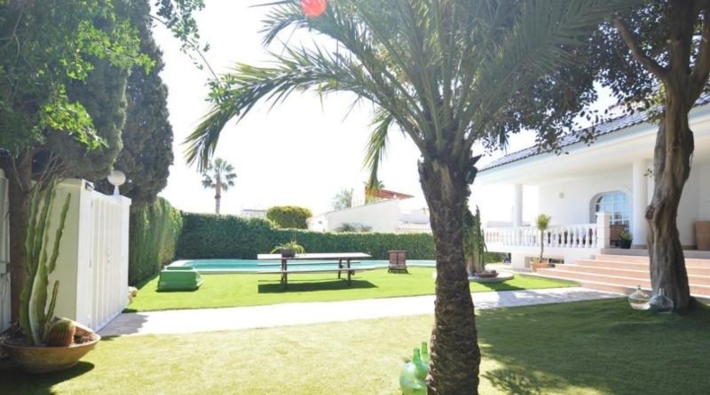 Alicante - Torrevieja - 800m2