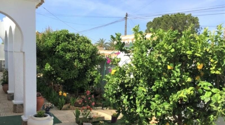 Alicante - Torrevieja - 800m2