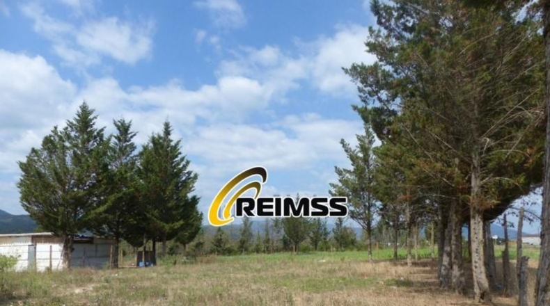 Gerona - Riudarenes - 22000m2