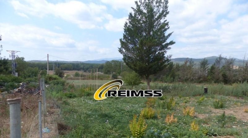 Gerona - Riudarenes - 22000m2