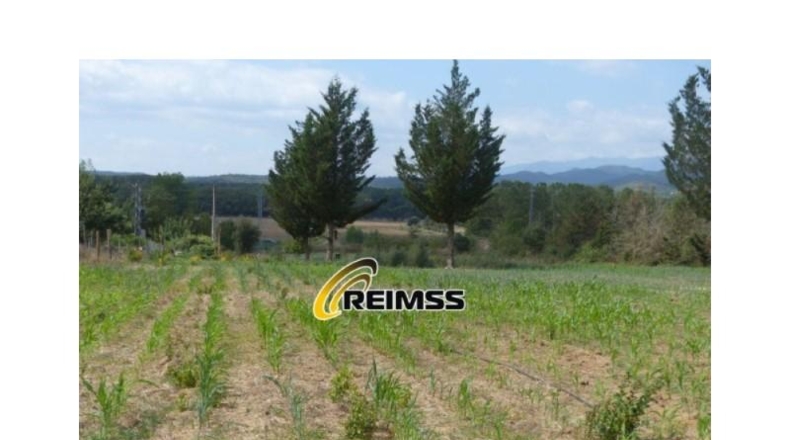 Gerona - Riudarenes - 22000m2