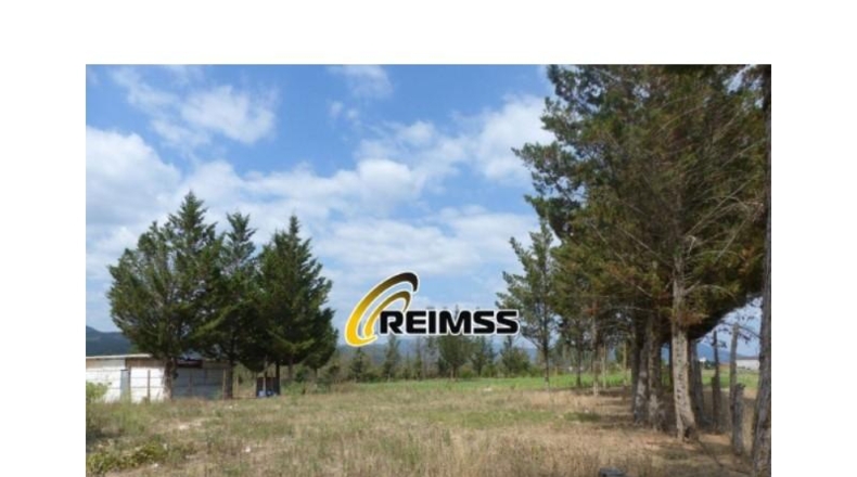 Gerona - Riudarenes - 22000m2
