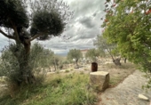 Xalet independent amb terreny en venda a la España, Palau-saverdera, ref.: TR161036 foto