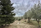 Xalet independent amb terreny en venda a la España, Palau-saverdera, ref.: TR161036 foto