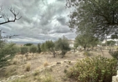 Xalet independent amb terreny en venda a la España, Palau-saverdera, ref.: TR161036 foto