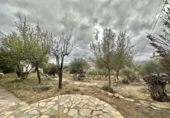 Xalet independent amb terreny en venda a la España, Palau-saverdera, ref.: TR161036 foto