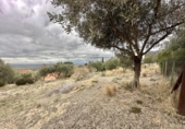 Xalet independent amb terreny en venda a la España, Palau-saverdera, ref.: TR161036 foto