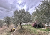Xalet independent amb terreny en venda a la España, Palau-saverdera, ref.: TR161036 foto