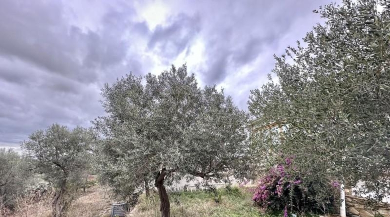 Gerona - Palau-saverdera - 3472m2