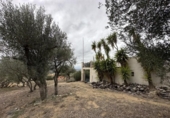 Xalet independent amb terreny en venda a la España, Palau-saverdera, ref.: TR161036 foto