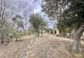 Xalet independent amb terreny en venda a la España, Palau-saverdera, ref.: TR161036 foto