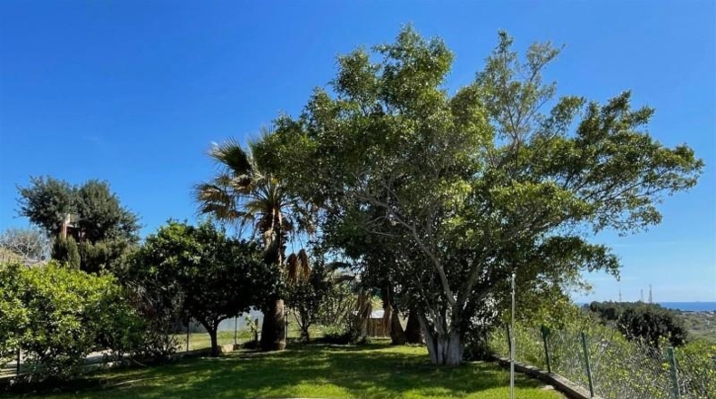 Málaga - Estepona - 4200m2