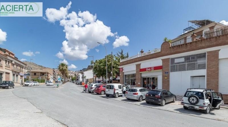 Granada - Íllora - 10954m2