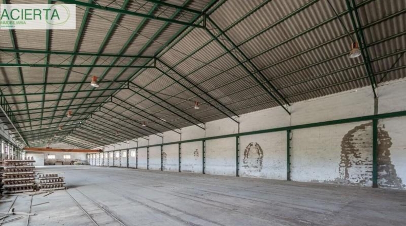 Granada - Íllora - 10954m2