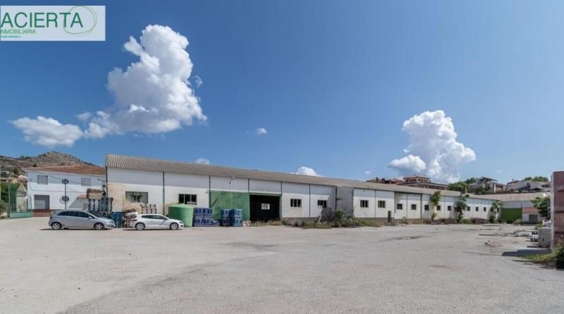 Granada - Íllora - 10954m2