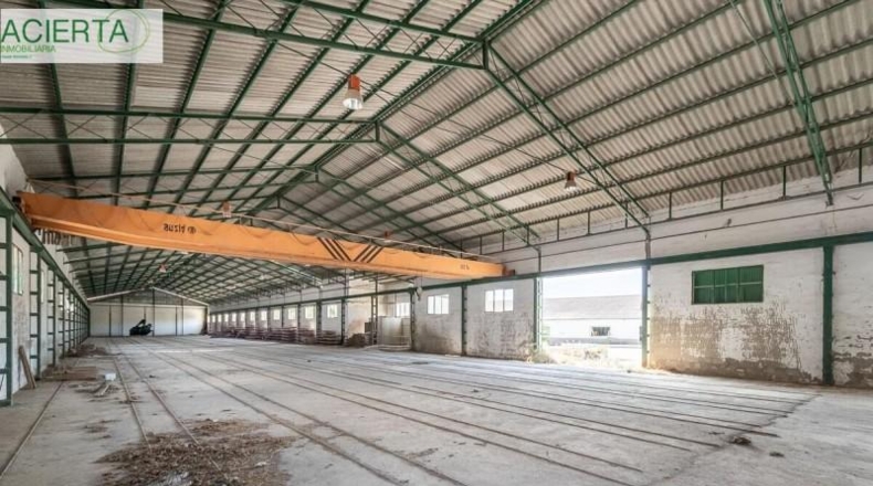 Granada - Íllora - 10954m2
