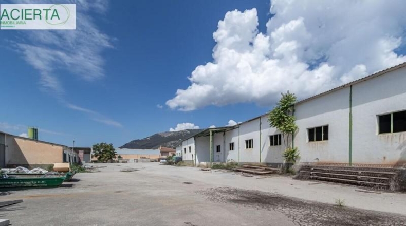Granada - Íllora - 10954m2
