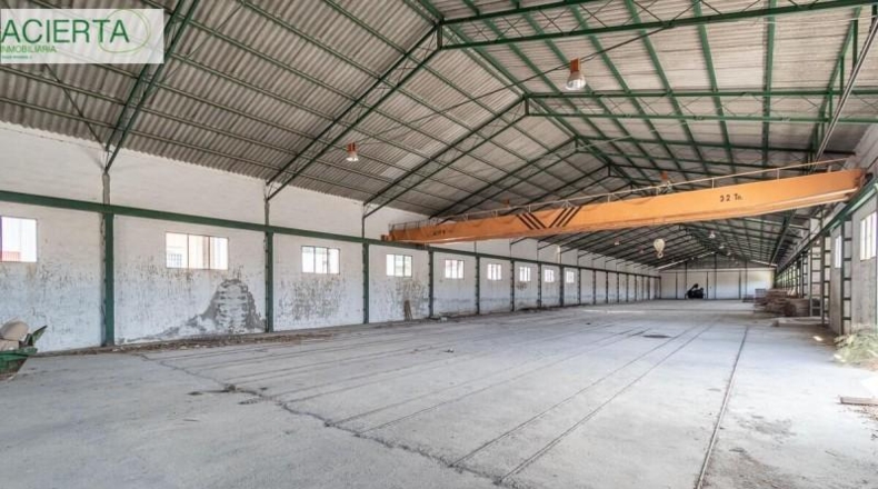 Granada - Íllora - 10954m2