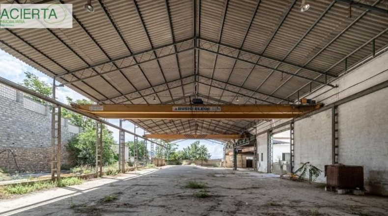 Granada - Íllora - 10954m2