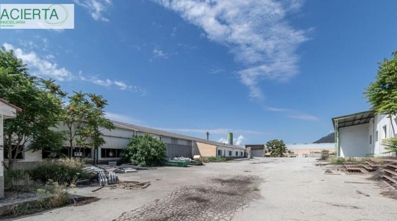 Granada - Íllora - 10954m2
