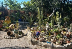 Foto 5