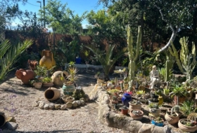 Foto 7