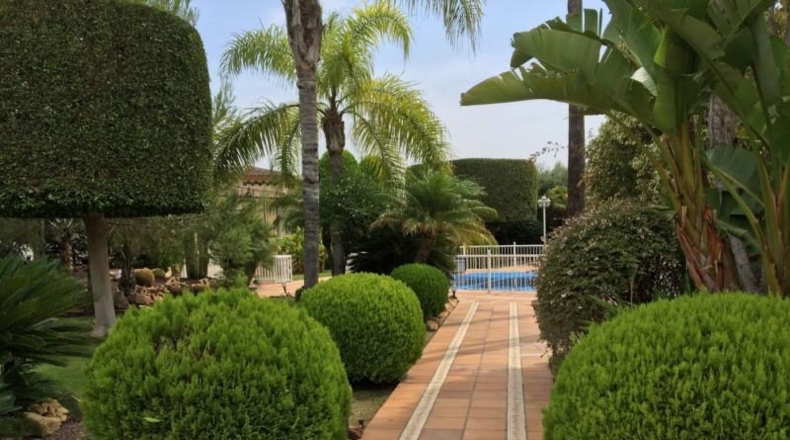 Alicante - Elche - 5000m2