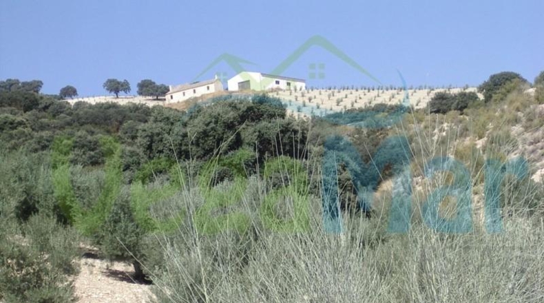 Granada - Alhama de Granada - 500000m2