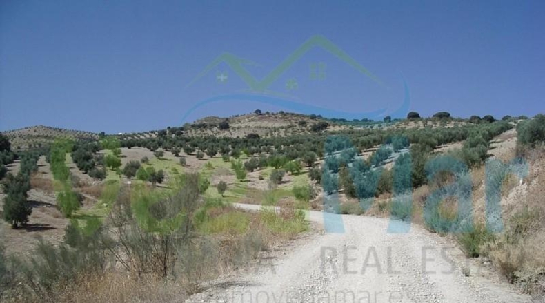 Granada - Alhama de Granada - 500000m2