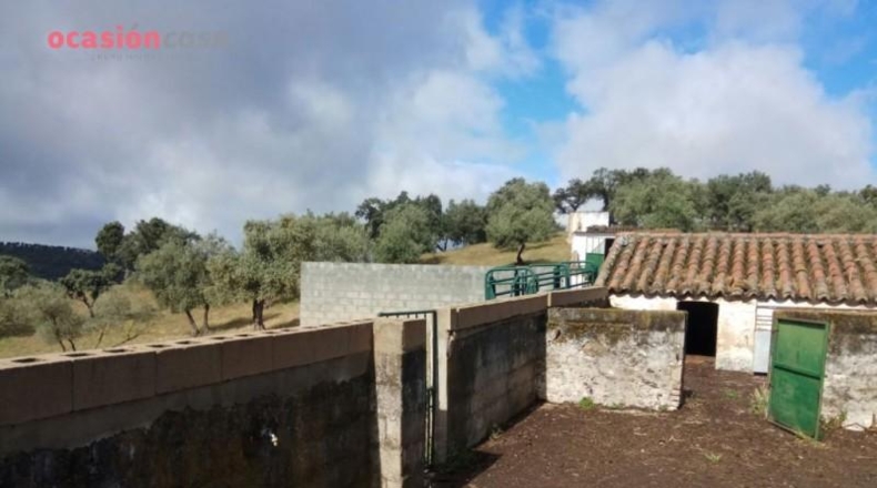 Córdoba - Villanueva de Córdoba - 571m2