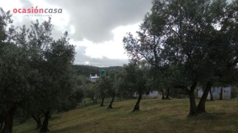 Córdoba - Villanueva de Córdoba - 571m2