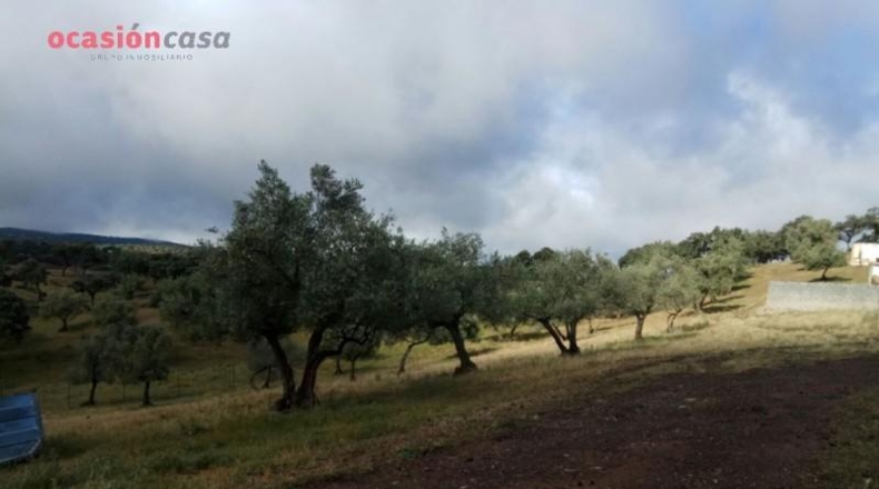 Córdoba - Villanueva de Córdoba - 571m2