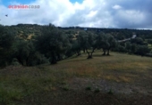 Xalet independent amb terreny en venda a la España, Villanueva de Córdoba, ref.: TR134987 foto