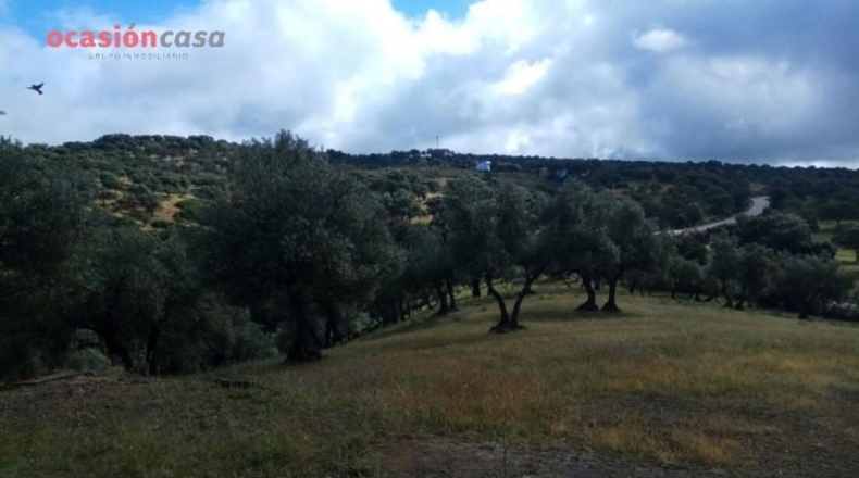 Córdoba - Villanueva de Córdoba - 571m2