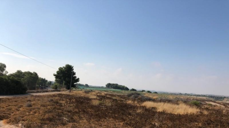 Alicante - Pilar de la Horadada - 180000m2
