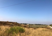 Terreny no urbanitzable en venda a la España, el Pilar de la Foradada, ref.: TR114851 foto