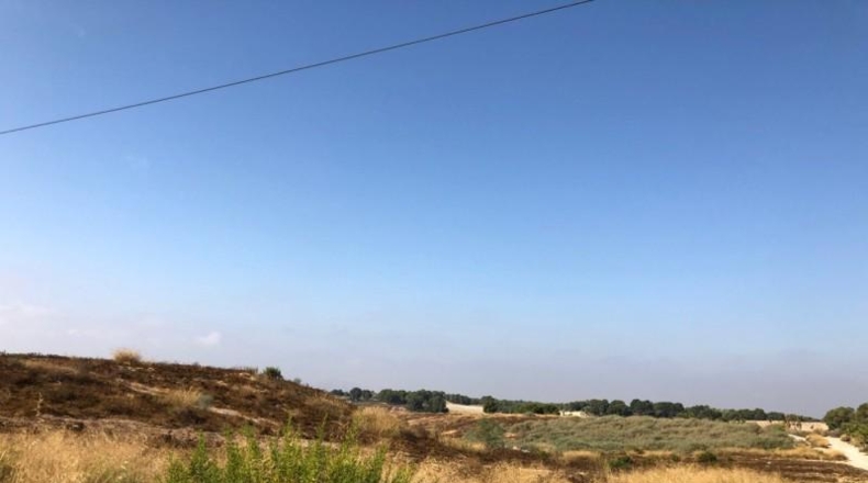 Alicante - Pilar de la Horadada - 180000m2