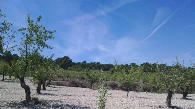 Murcia - Moratalla - 820000m2