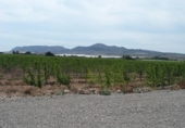 Xalet independent amb terreny en venda a la España, Montfort, ref.: TR141682 foto