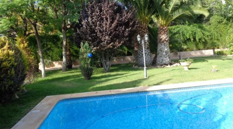 Alicante - Petrer - 1500m2