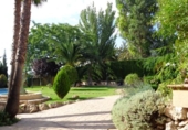 Xalet independent amb terreny en venda a la España, Petrer, ref.: TR136478 foto
